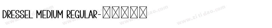 Dressel Medium Regular字体转换